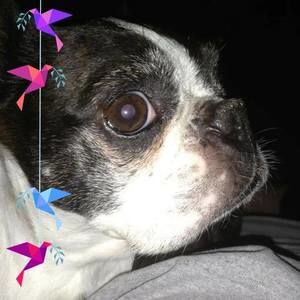 Meet your Posher, Cathy